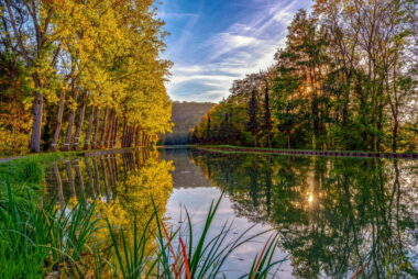 recrutement pour les réserves naturelles pour préserver la biodiversité