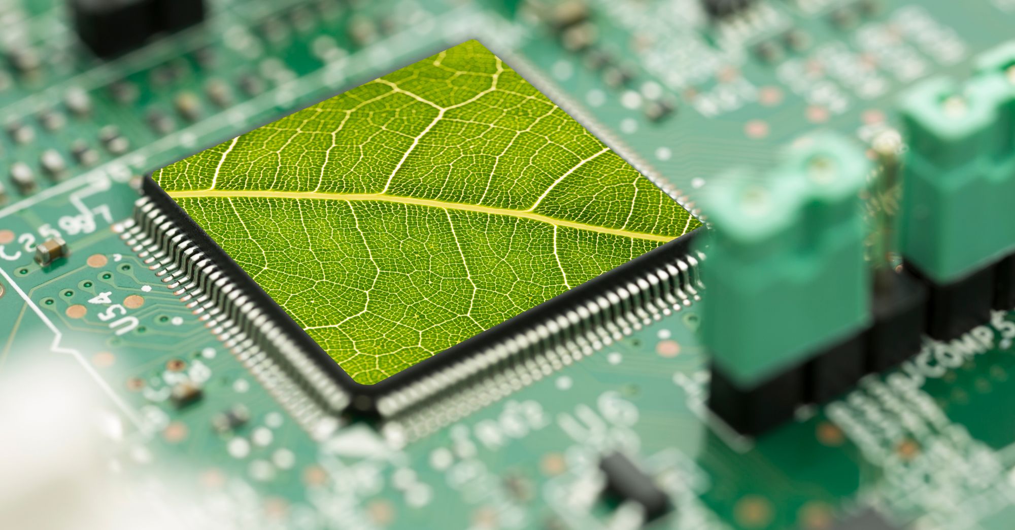 recrutement des performances métier d'avenir : environnement et IA